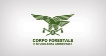 Corpo Forestale e di Vigilanza ambientale